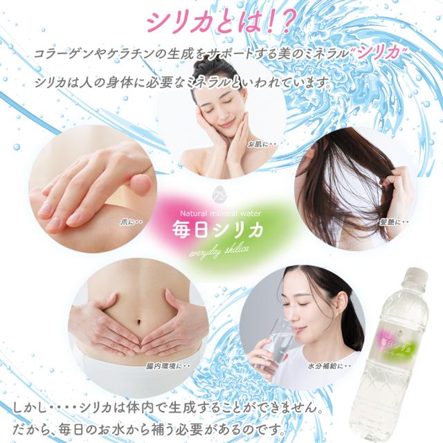 シリカ水 525ml 40本 送料無料 毎日シリカ シリカウォーター ミネラルウォーター 高濃度シリカ水 ケイ素水 ケイ素 天然水 天然シリカ水 天然シリカ シリカ silica 水 軟水 まとめ買い ケース購入 大容量 美容 健康 防災 備蓄 保存水 九重連山 国産 九州産 大分県産 いいBUYストア