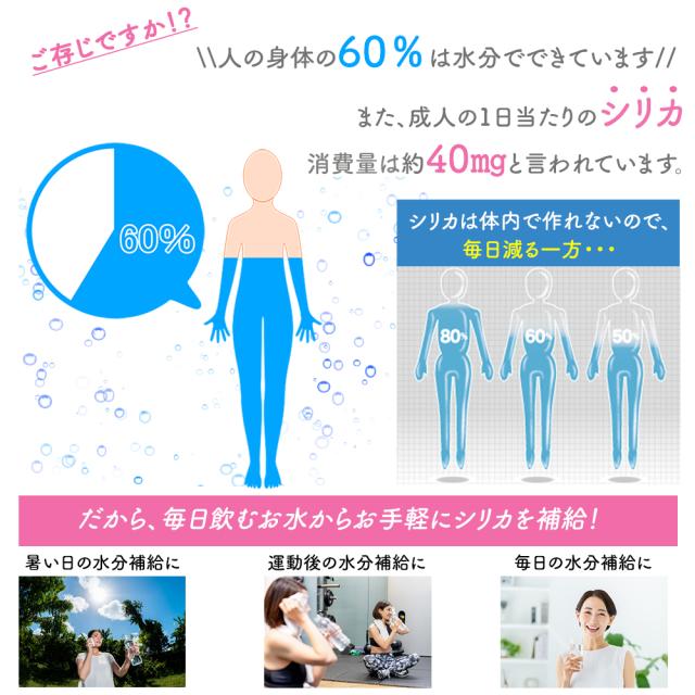 シリカ水 525ml 40本 送料無料 毎日シリカ シリカウォーター ミネラルウォーター 高濃度シリカ水 ケイ素水 ケイ素 天然水 天然シリカ水 天然シリカ シリカ silica 水 軟水 まとめ買い ケース購入 大容量 美容 健康 防災 備蓄 保存水 九重連山 国産 九州産 大分県産 いいBUYストア