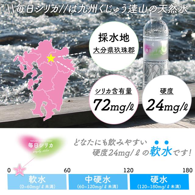 シリカ水 525ml 40本 送料無料 毎日シリカ シリカウォーター ミネラルウォーター 高濃度シリカ水 ケイ素水 ケイ素 天然水 天然シリカ水 天然シリカ シリカ silica 水 軟水 まとめ買い ケース購入 大容量 美容 健康 防災 備蓄 保存水 九重連山 国産 九州産 大分県産 いいBUYストア
