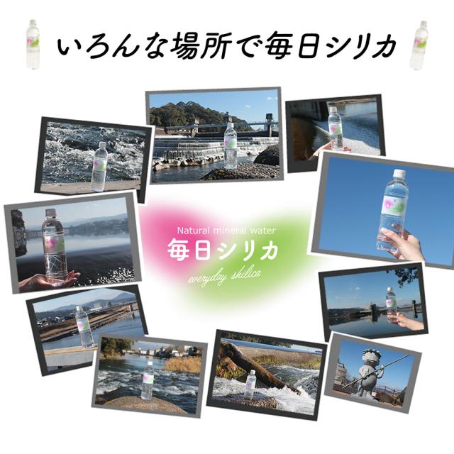 シリカ水 525ml 40本 送料無料 毎日シリカ シリカウォーター ミネラルウォーター 高濃度シリカ水 ケイ素水 ケイ素 天然水 天然シリカ水 天然シリカ シリカ silica 水 軟水 まとめ買い ケース購入 大容量 美容 健康 防災 備蓄 保存水 九重連山 国産 九州産 大分県産 いいBUYストア