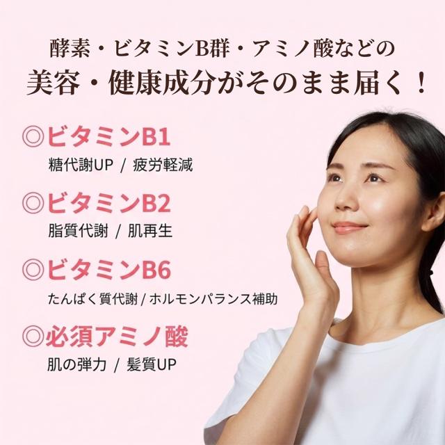 甘酒 生甘酒 1P 500g 生甘酒おーれ いちごおーれ れもんおーれ アルコールゼロ 国産 いいBUYストア