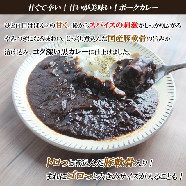 カレー ポークカレー 5Pセット 送料無料 スパイシーカレー 黒カレー 手作りカレー スパイス 甘辛 ポーク おかず 冷凍 レンチン 簡単調理 個包装 真空パック 国内製造　いいBUYストア