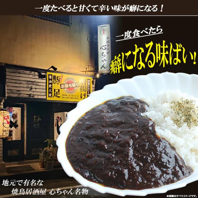 カレー ポークカレー 5Pセット 送料無料 スパイシーカレー 黒カレー 手作りカレー スパイス 甘辛 ポーク おかず 冷凍 レンチン 簡単調理 個包装 真空パック 国内製造　いいBUYストア
