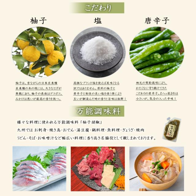 柚子胡椒 柚子こしょう 3P (1P/60g) 送料無料 ゆず胡椒 ゆず 柚子 こしょう 青唐辛子 チューブ パウチ 調味料 国産 川津食品 大分県産 いいBUYストア
