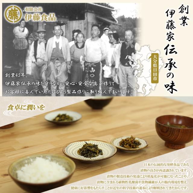漬物 漬け物 国産 送料無料 旨辛からし高菜 120g 1P 高菜油炒め 高菜漬け 高菜漬 熟成高菜 乳酸発酵 香ばしい 醤油味 九州の家庭の味 九州名菜 いいBUYストア