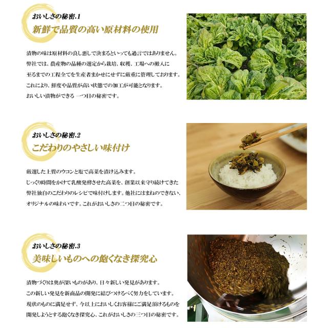 漬物 漬け物 国産 送料無料 旨辛からし高菜 120g 1P 高菜油炒め 高菜漬け 高菜漬 熟成高菜 乳酸発酵 香ばしい 醤油味 九州の家庭の味 九州名菜 いいBUYストア