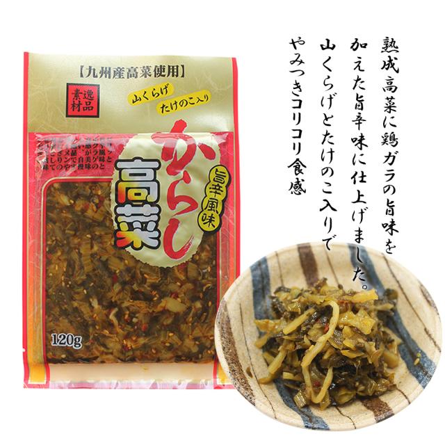 漬物 漬け物 国産 送料無料 旨辛からし高菜 120g 1P 高菜油炒め 高菜漬け 高菜漬 熟成高菜 乳酸発酵 香ばしい 醤油味 九州の家庭の味 九州名菜 いいBUYストア