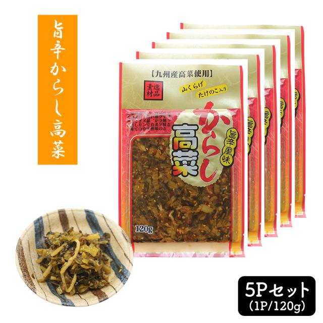 漬物 漬け物 国産 送料無料 旨辛からし高菜 120g 1P 高菜油炒め 高菜漬け 高菜漬 熟成高菜 乳酸発酵 香ばしい 醤油味 九州の家庭の味 九州名菜 いいBUYストア
