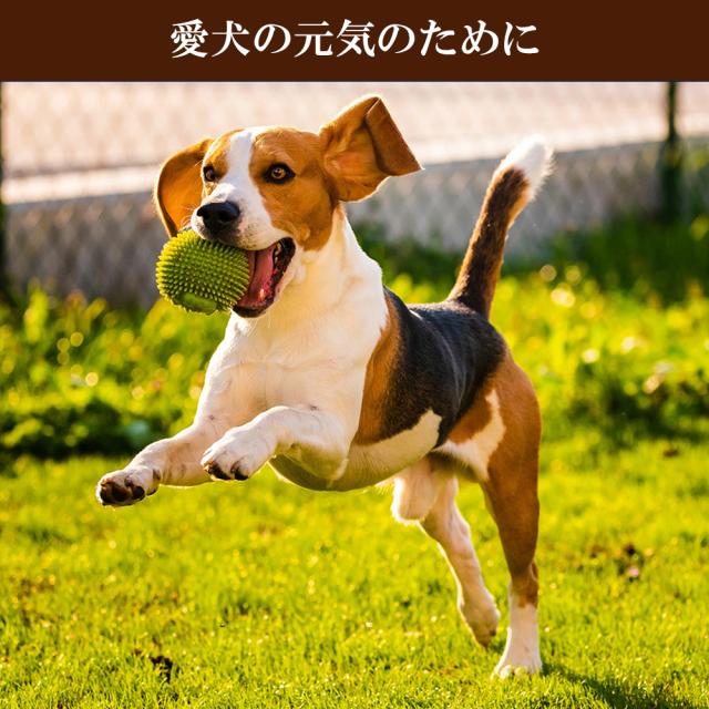 犬 おやつ 鶏むね肉ジャーキー 3Pセット (1P/60g) 送料無料 ジャーキー 鶏むね肉ハード薄切り 犬用おやつ 鶏ジャーキー 鶏スライス 鶏胸肉 ドッグフード  無添加 無着色　いいBUYストア