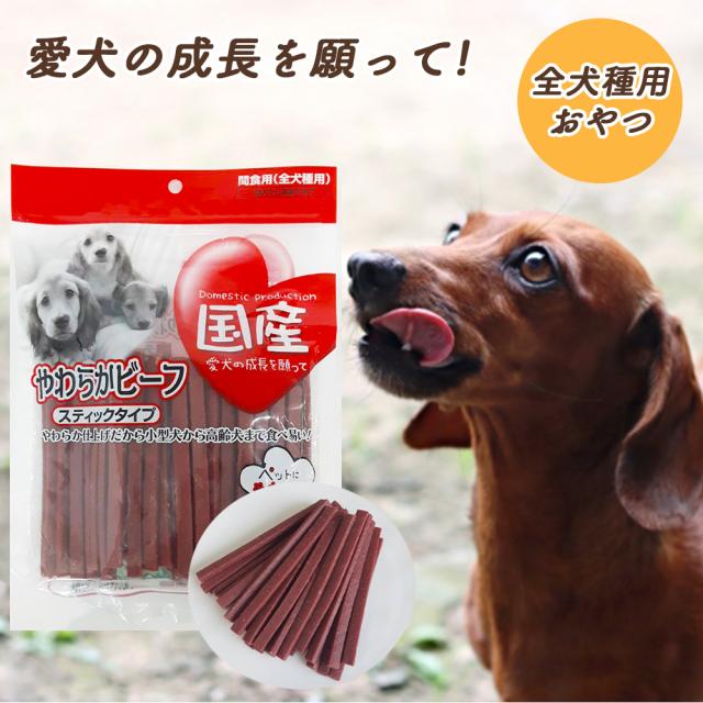 ジャーキー 犬 おやつ やわらかビーフ スティックタイプ 2Pセット 1P 360g 送料無料 全犬種用 犬用おやつ ドッグフード ペットフード 乾燥肉 国産素材使用 間食用 国産 ITFC いいBUYストア