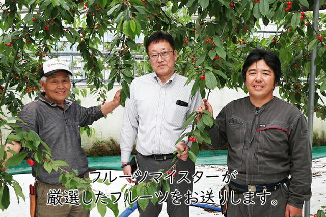 フルーツマイスターが各種産地を訪問し、納得した果物を入荷しています