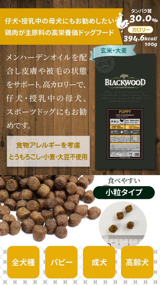 米国最高級フード　ブラックウッド　パピー