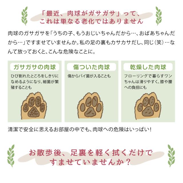 ペットキララ パウスペシャルクリーム（肉球クリーム） 30g