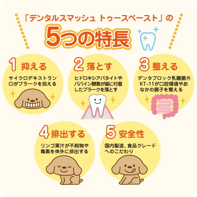 デンタルスマッシュ　トゥースペースト 5つの特長
