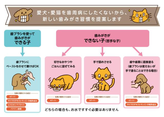 デンタルスマッシュ　トゥースペースト 使い方