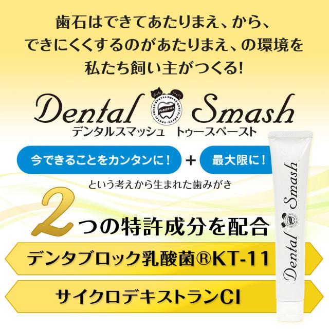 デンタルスマッシュ　トゥースペースト 歯石はできてあたりまえから、できにくくする