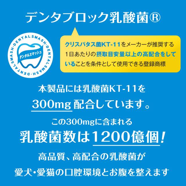 デンタルスマッシュ　トゥースペースト デンタブロック乳酸菌