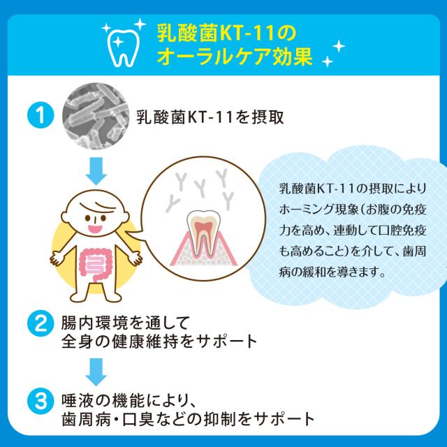 デンタルスマッシュ　トゥースペースト デンタブロック乳酸菌