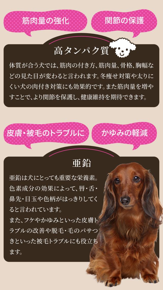 米国最高級フード　ブラックウッド