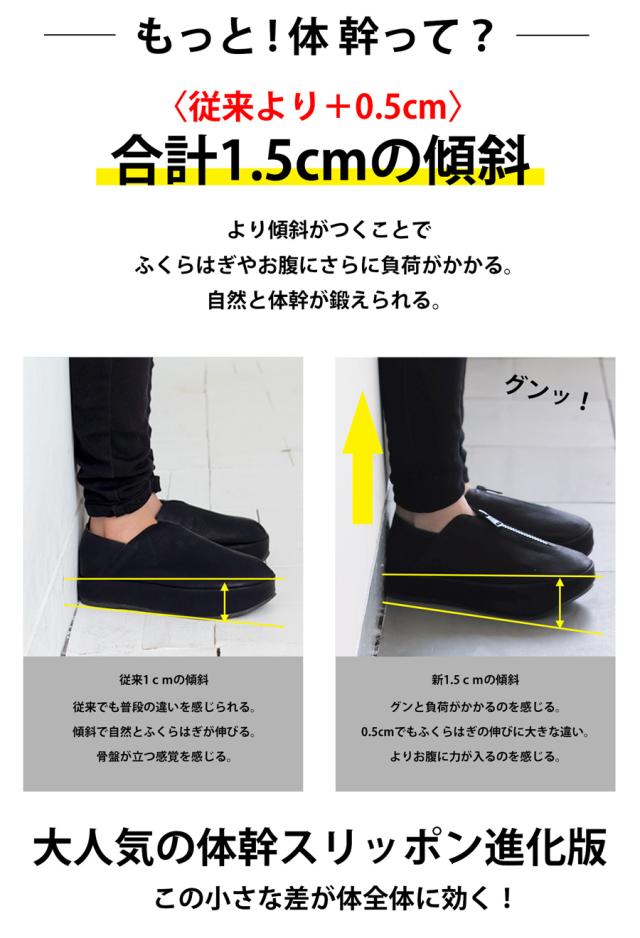 いま大注目の【お洒落×体幹】スリッポン レディース 送料無料・再再販。メール便不可