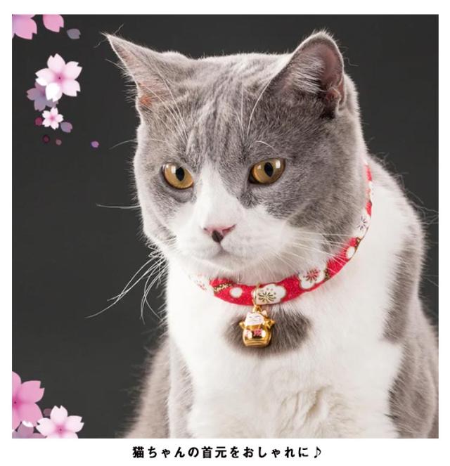 和風つまみ細工付き(黒②)わんちゃん猫ちゃん用襟つき首輪 和装まとめ