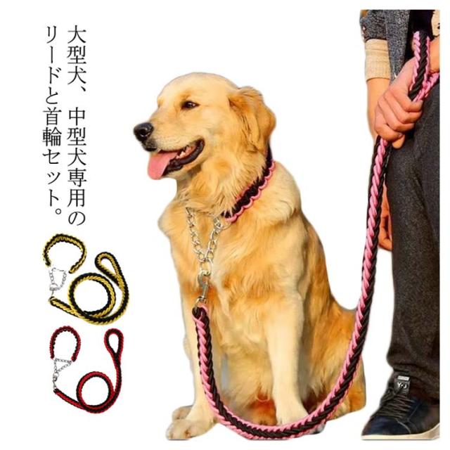 送料無料 首輪セット 犬 首輪 2点セット リードセット 太く 噛み癖
