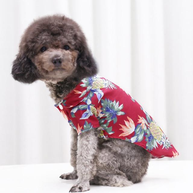 Atelier GG アロハシャツ　犬服　ボルドー GG MADE IN TOKYO.』『GG+KIITI』『GG DENIM LINE』『Chocolat