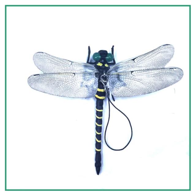 オニヤンマ トンボ おにやんま 蜻蛉 とんぼフィギュア 12cm 本物