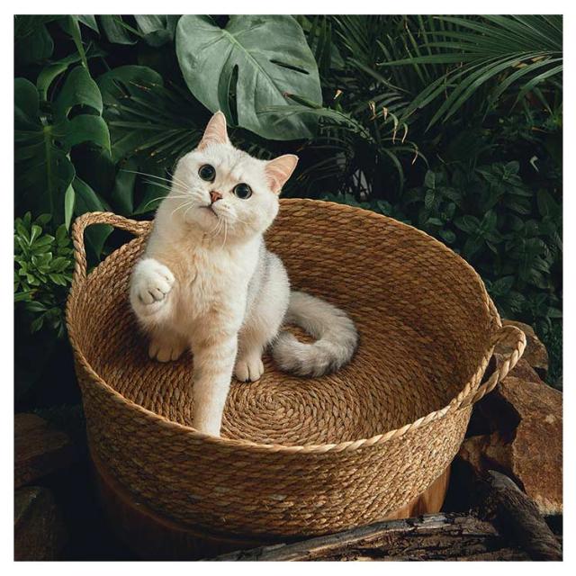 夏のきれいな藤編み猫小屋ペット用品猫別荘 夏のきれいな藤編み猫小屋ペット用品猫別荘 猫ベッド ペット