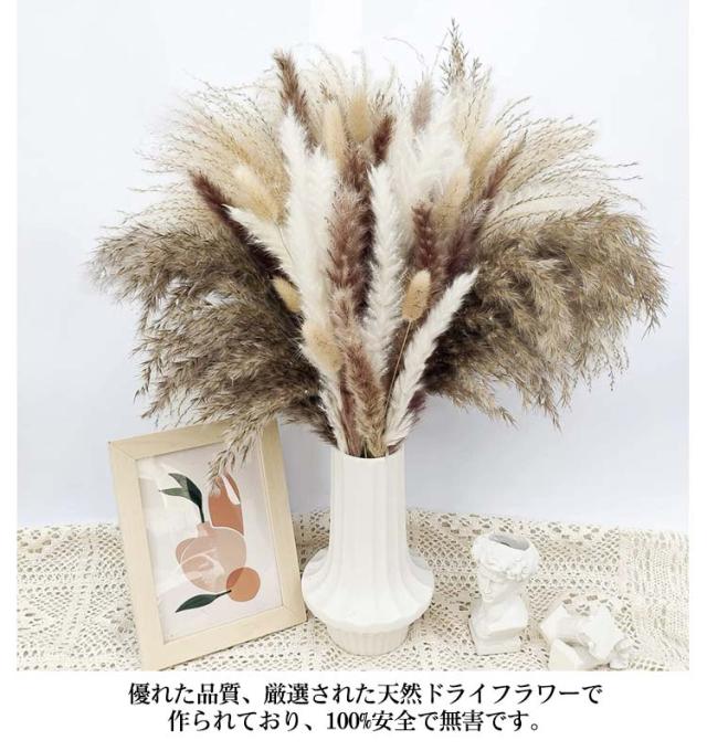 短めオレガノドライフラワーパンパスグラス小分け穂花材