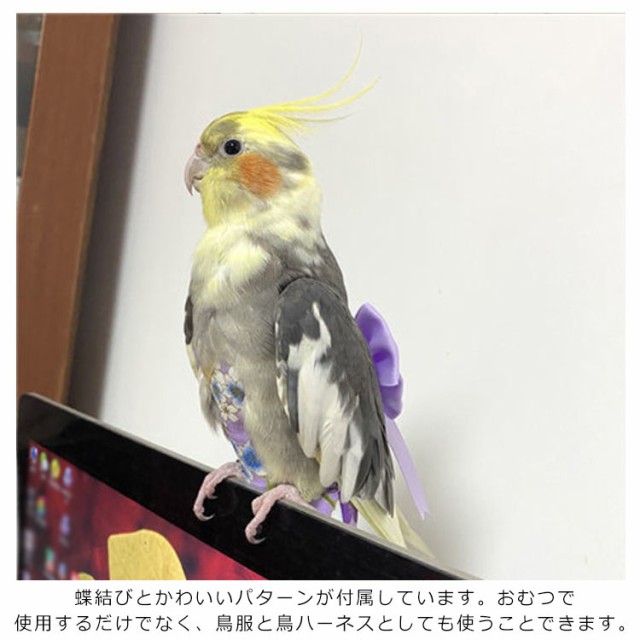 バードスーツ パイナップル柄 鳥のオムツ Mサイズ - 鳥用品