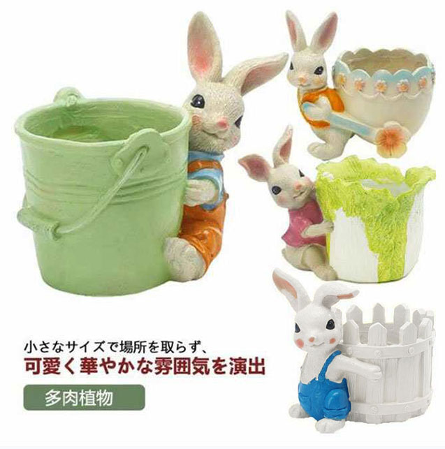 多肉植物 鉢 植木鉢 底穴あり 寄せ植え ウサギ アニマル 動物