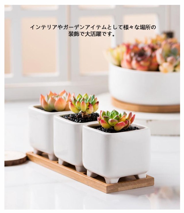 純白の陶器鉢大中小7点セット 大型観葉植物や花苗のガーデニング