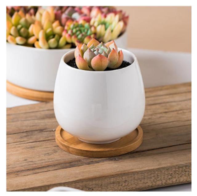 多肉植物 寄せ植え 鉢 植木鉢 3個セット 陶器 キューブ型 四角 底穴