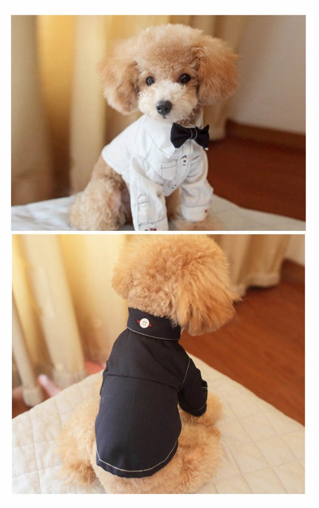 犬服シャツ蝶ネクタイ付き英国紳士綿おしゃれ可愛いの通販はau