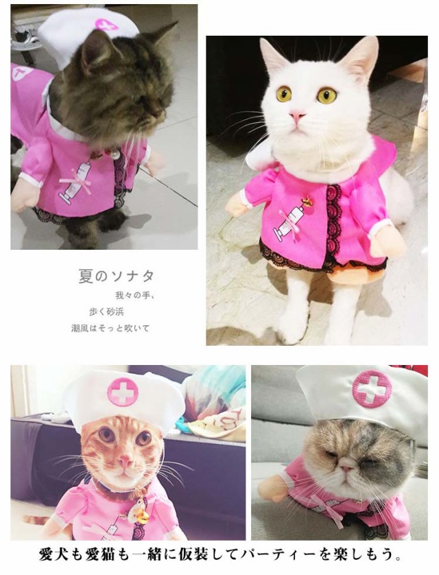 犬服 猫服 犬用 ネコ猫用 服 コスプレ 仮装 洋服 おもしろい 子猫 変身 着ぐるみ ペット服 ねこ 犬用 直立 コスチューム ネコ いぬ かわいい  ウェア 変身 コスプレ 送料無料の通販はau PAY マーケット - ナギストア | au PAY マーケット－通販サイト