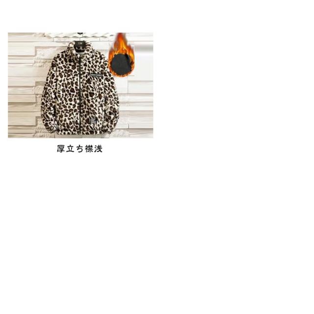 ブルゾン メンズ 秋 冬 ジャケット フード付き 立ち襟 ヒョウ柄