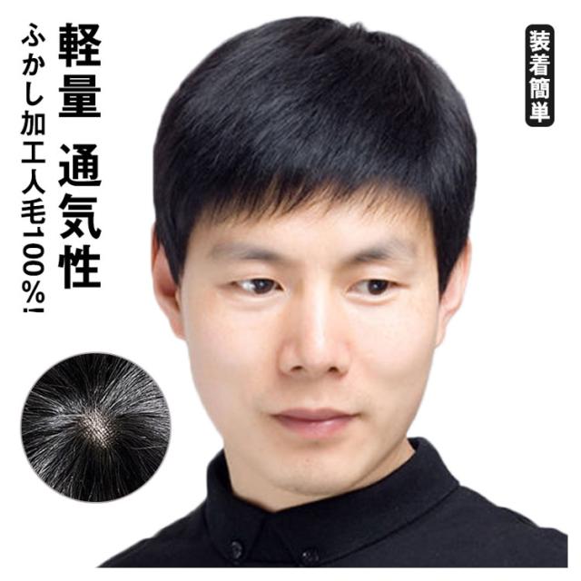 人毛100％! ウイッグ メンズ 男性 かつら 自然 ナチュラル フル