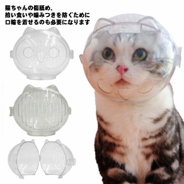 宇宙 ガラスの猫（ペア）