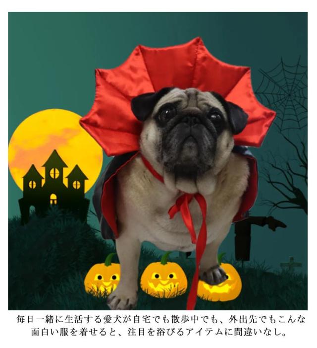 ♡しなこちゃん風エプロンドレス♡ ぶんちゃん様専用、ハロウィン仮装