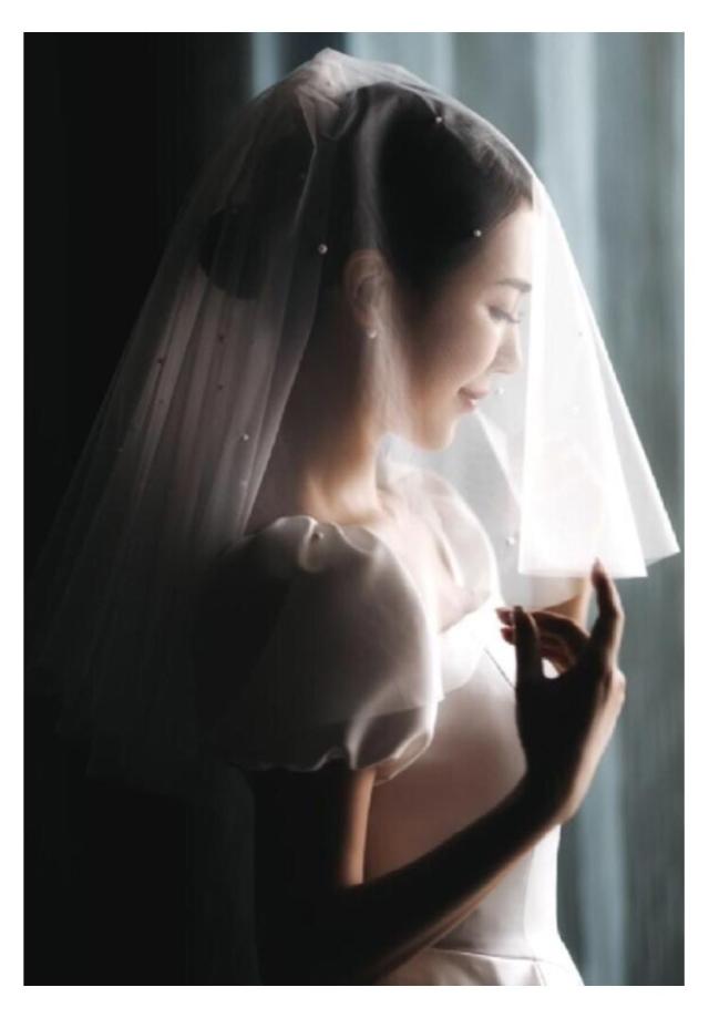 ウエディングドレス ウェディングドレス 袖あり 半袖 パフスリーブ