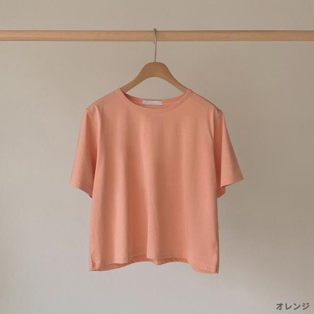 Tシャツ レディース 半袖 ショート丈 クロップド丈 夏 白
