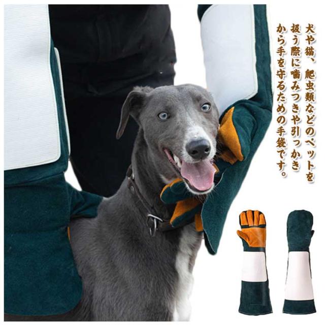 トレーナー ペットグローブ 噛まれるの防止 牛革手袋 しつけ 犬用 犬