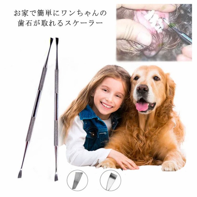 ペット用 歯石取り スケーラー 犬用 猫用 両頭タイプ デンタルケア ...