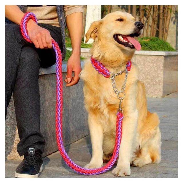 チークchiku カラー リード セット 犬 ペット 首輪 C99507744