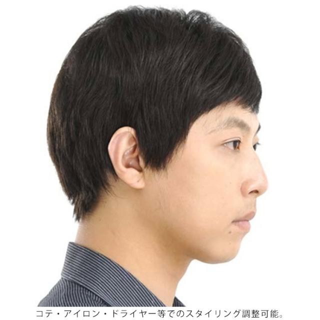ウィッグ 人毛100％ メンズ フルウィッグ ショート かつら 自然 うぃっ