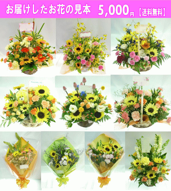 日本未入荷 入手困難 8月の誕生花ひまわり アレンジ 花束 デザイナーにおまかせ 5 000円 送料無料 ネット特価 100 本物保証 Elskaveda Com 日本未入荷 入手困難 8月の誕生花ひまわり アレンジ 花束 デザイナーにおまかせ 5 000円 送料無料 ネット特価 100 本物保証 Elskaveda Com