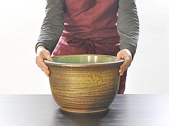 [睡蓮鉢 めだか鉢］