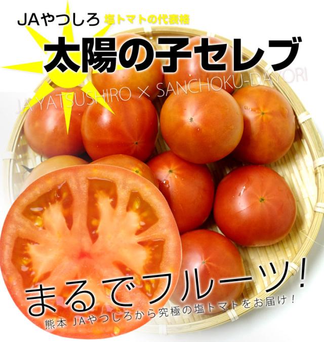 熊本県より産地直送 Jaやつしろ 太陽の子セレブ フルーツトマト 約1キロ Mからsサイズ 11玉から16玉 とまと 産直だより 送料無料の通販はau Wowma ワウマ 産直だより 商品ロットナンバー