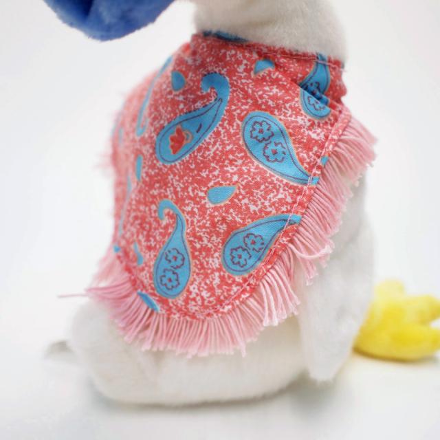 ピーターラビット